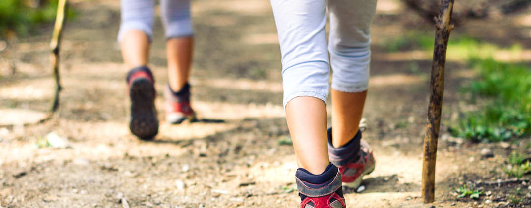 Associazione Ferrarese Universitaria che con la sua donazione alla nostra Associazione, ha sostenuto la prima gita di oggi ad Asiago con i bambini oncologici